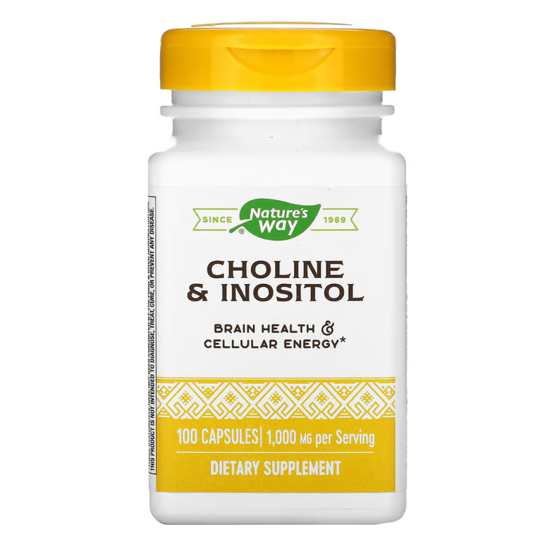 Choline & Inositol - 100 caps — фото 1