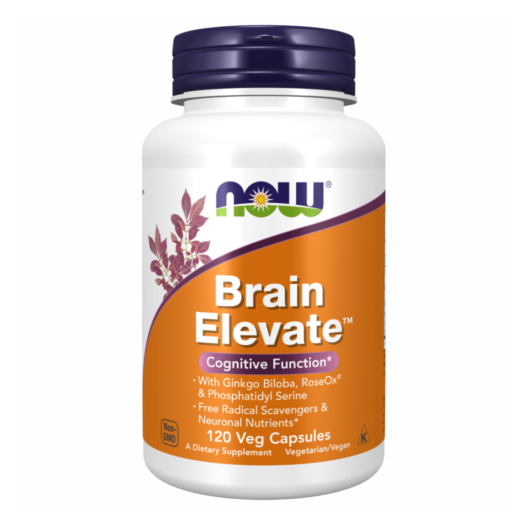 Brain Elevate, 120 вег. капсул, Now Foods