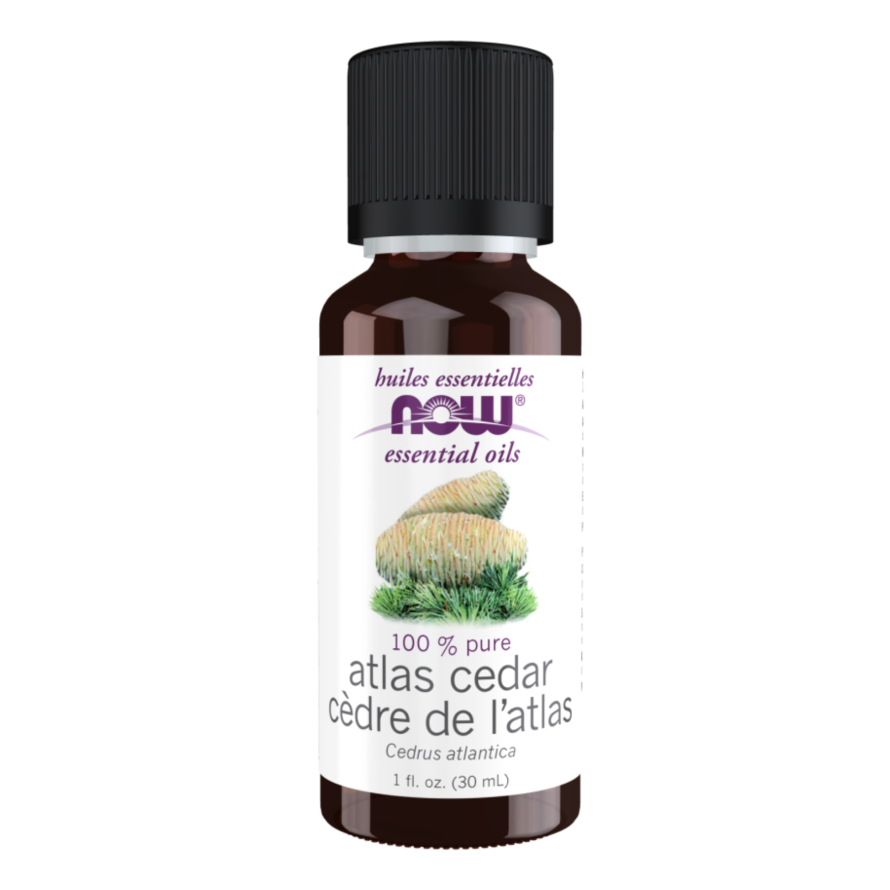 Atlas Cedar Oil - 30ml (1fl.oz)