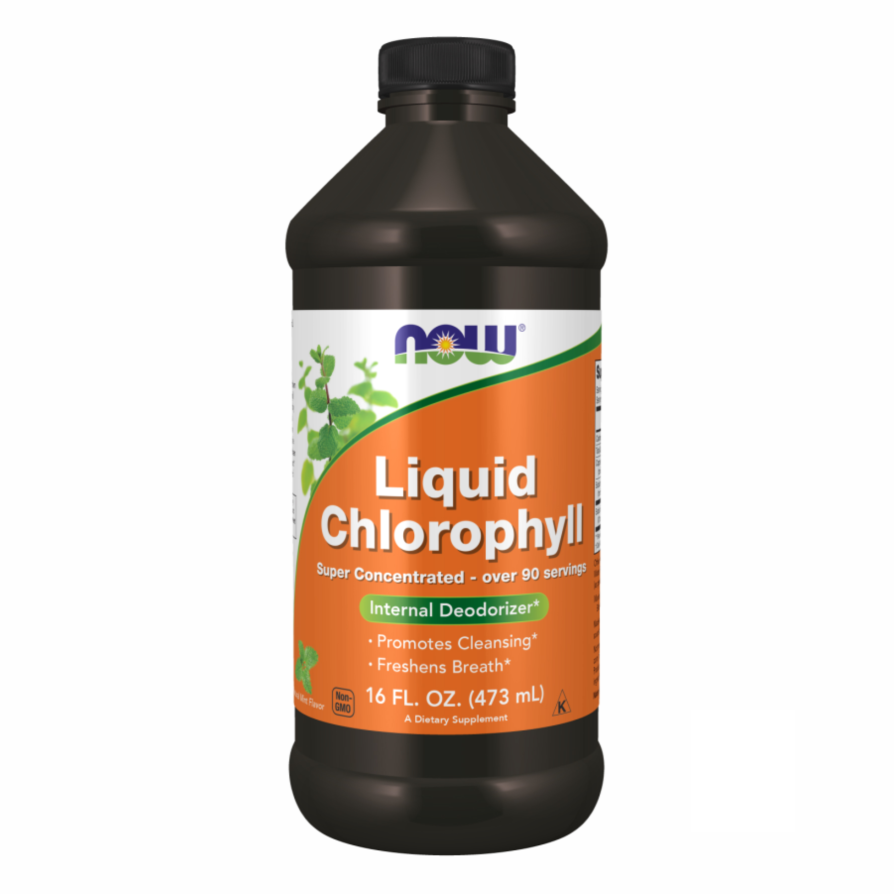 Chlorophyll Liquid Mint - 16 oz — фото 1
